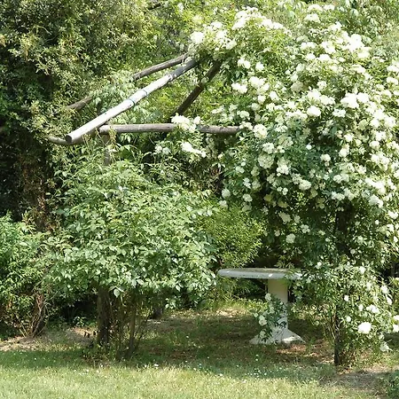 Con Patio Privato E Giardino Tra Pisa E Firenze Apartamento Palaia