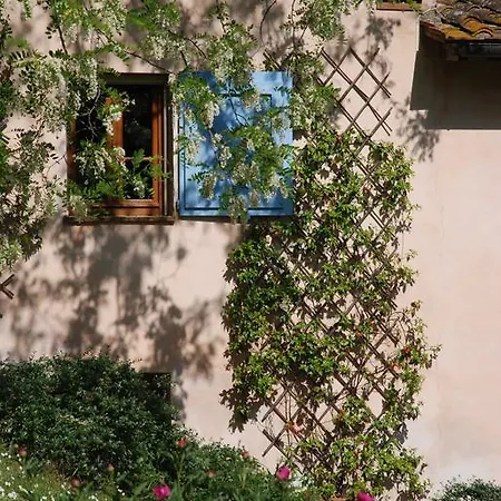 Apartment Con Patio Privato E Giardino Tra Pisa E Firenze *