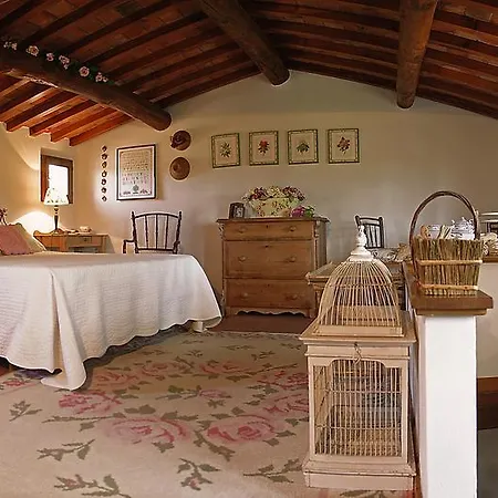 Con Patio Privato E Giardino Tra Pisa E Firenze