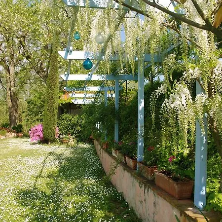 Apartment Con Patio Privato E Giardino Tra Pisa E Firenze *