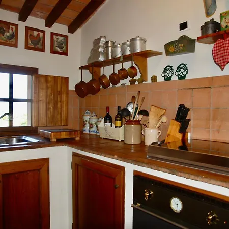 Apartamento Con Patio Privato E Giardino Tra Pisa E Firenze Palaia