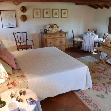 Apartamento Con Patio Privato E Giardino Tra Pisa E Firenze *