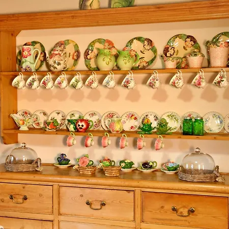 Con Patio Privato E Giardino Tra Pisa E Firenze *