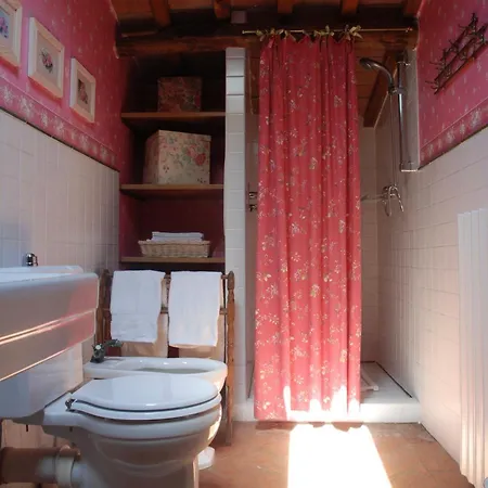 Con Patio Privato E Giardino Tra Pisa E Firenze * Palaia