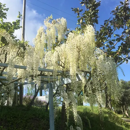 Con Patio Privato E Giardino Tra Pisa E Firenze *