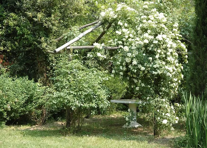 Con Patio Privato E Giardino Tra Pisa E Firenze Apartman Palaia