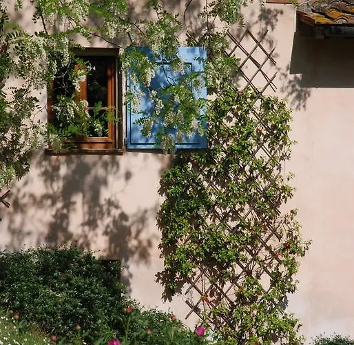 Apartman Con Patio Privato E Giardino Tra Pisa E Firenze *