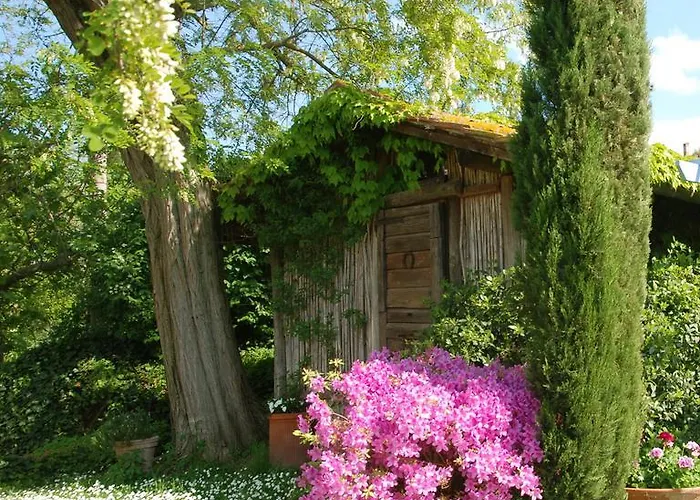 Con Patio Privato E Giardino Tra Pisa E Firenze *