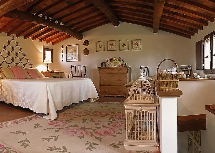 Con Patio Privato E Giardino Tra Pisa E Firenze