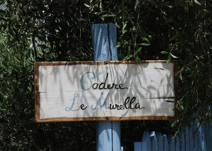 Con Patio Privato E Giardino Tra Pisa E Firenze Apartman *
