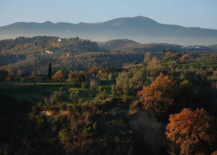 Con Patio Privato E Giardino Tra Pisa E Firenze Apartman Palaia